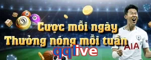 qqlive